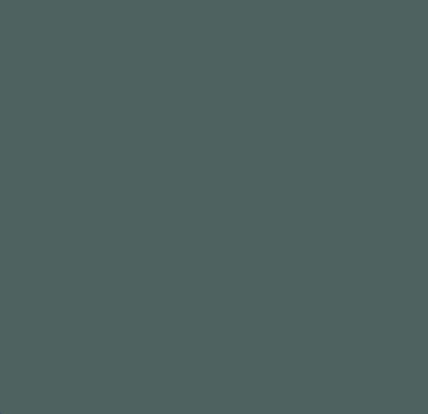 shagus03:�������